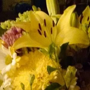 Meet your Posher, Reba